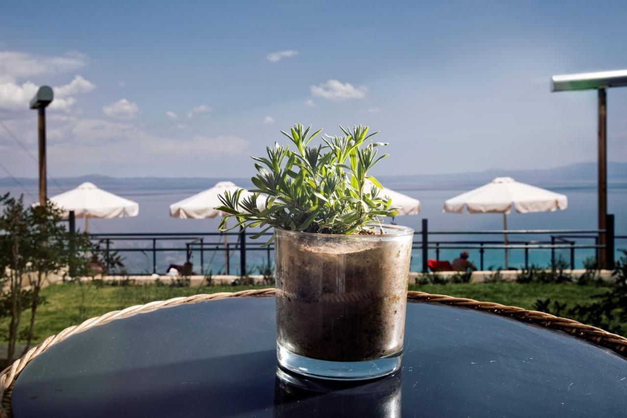 Rigas Boutique Hotel & Spa Afytos Eksteriør bilde